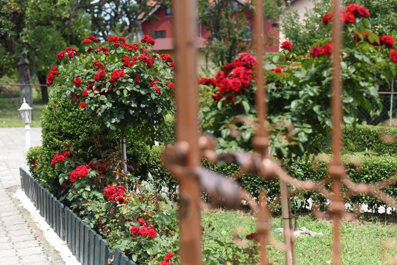 Apartmani Boss Vrnjacka Banja Exterior photo